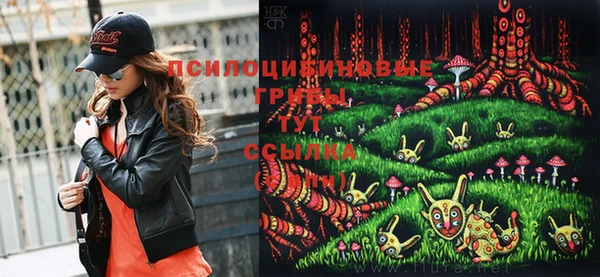 молекула духа Карталы