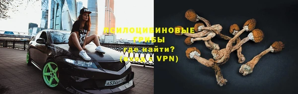 дживик Карпинск