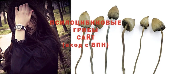 гашиш Касимов