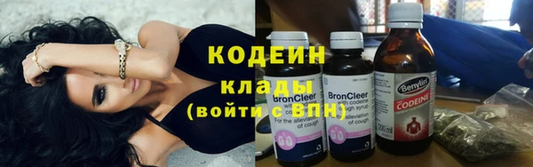 дживик Карпинск