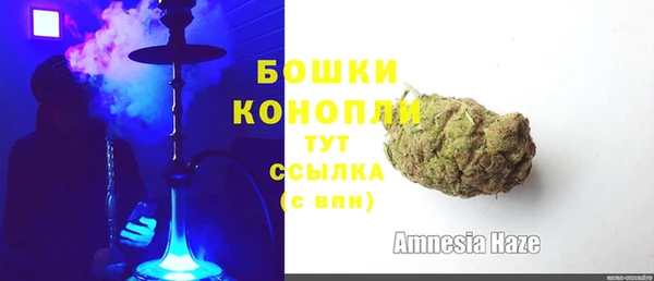 дживик Карпинск