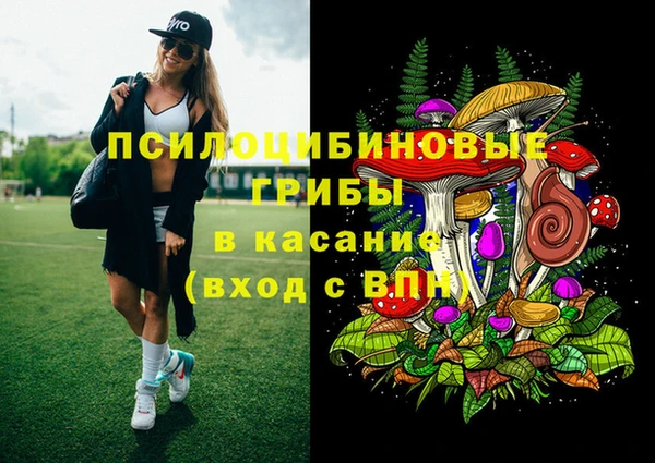 дживик Карпинск