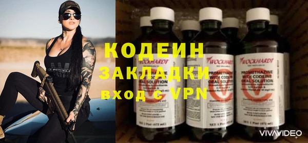 дживик Карпинск